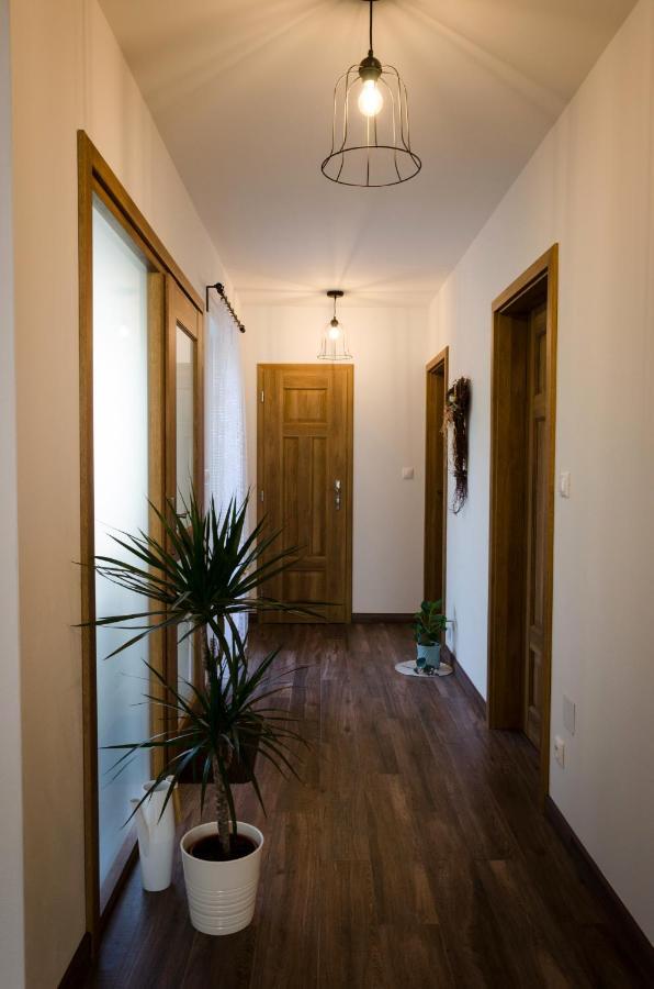 Apartmany U Kotacku Veverske Kninice Εξωτερικό φωτογραφία