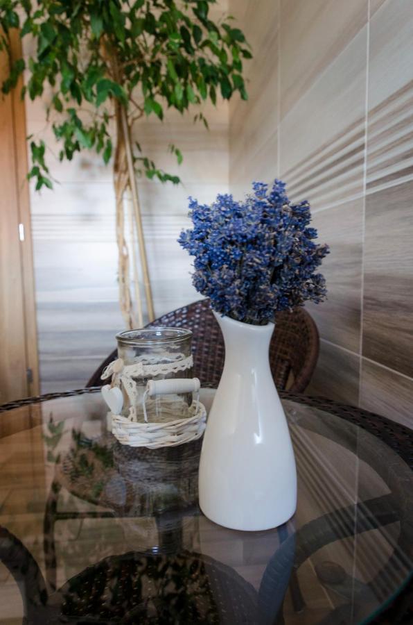 Apartmany U Kotacku Veverske Kninice Εξωτερικό φωτογραφία